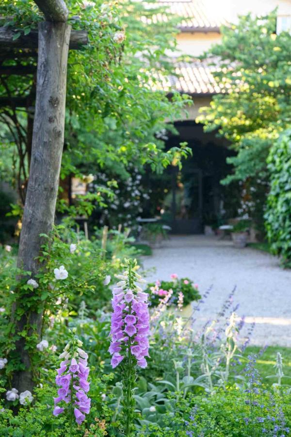 Villino Di Porporano Bed & Breakfast Parma Luaran gambar