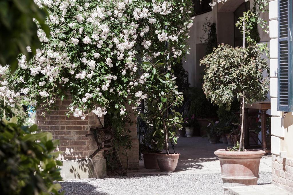 Villino Di Porporano Bed & Breakfast Parma Luaran gambar
