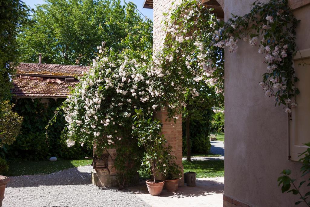 Villino Di Porporano Bed & Breakfast Parma Luaran gambar