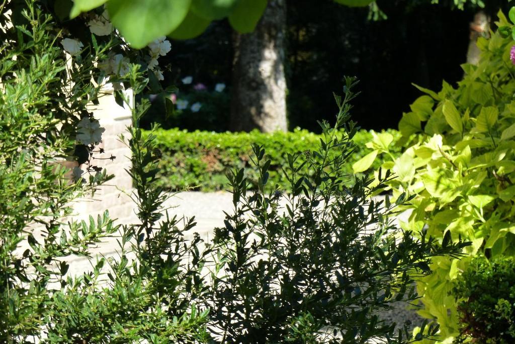 Villino Di Porporano Bed & Breakfast Parma Luaran gambar